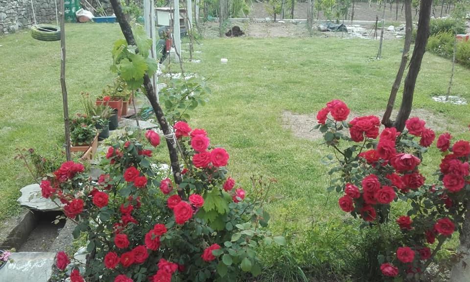 Kulla E Vjeter Ξενοδοχείο Koman Εξωτερικό φωτογραφία